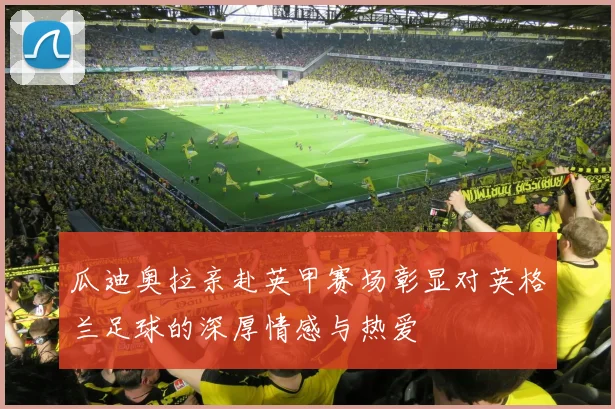 瓜迪奥拉亲赴英甲赛场彰显对英格兰足球的深厚情感与热爱