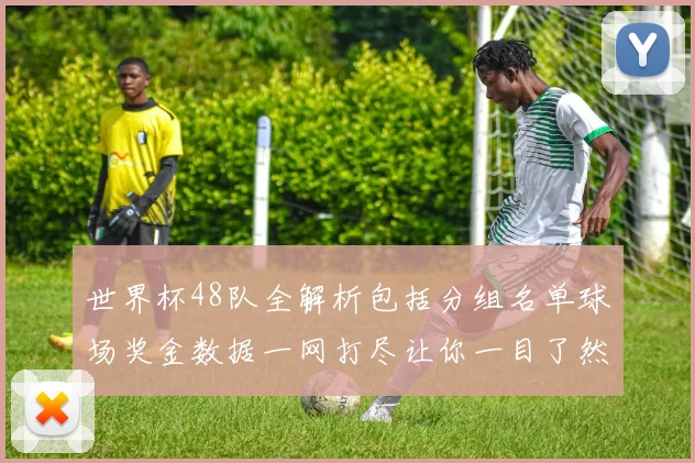 世界杯48队全解析包括分组名单球场奖金数据一网打尽让你一目了然